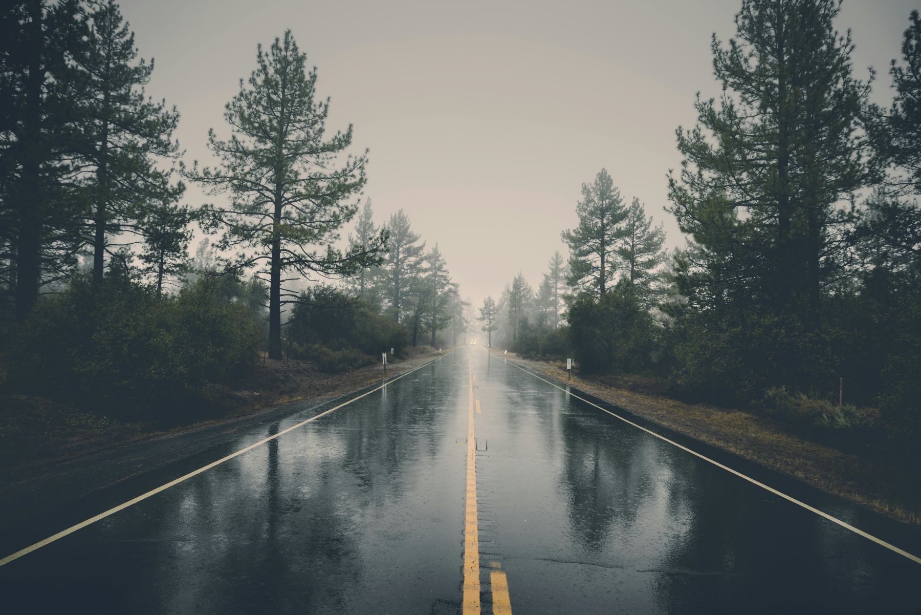 photo background